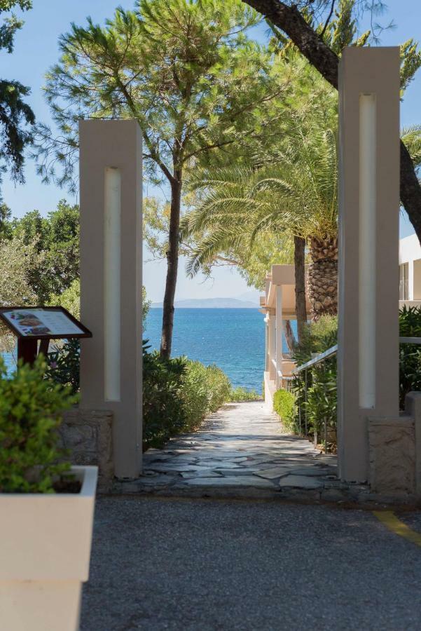 Seaside House In Voula Διαμέρισμα Αθήνα Εξωτερικό φωτογραφία